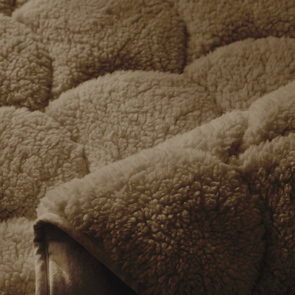 Nahaufnahme von Teddy