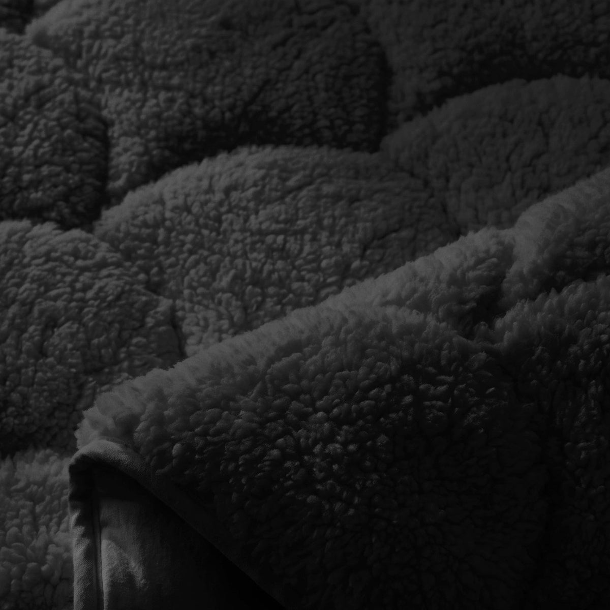 Nahaufnahme von Teddy