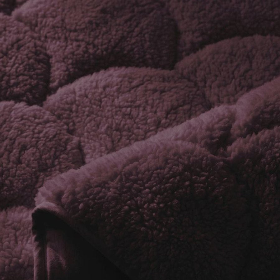 Nahaufnahme von Teddy